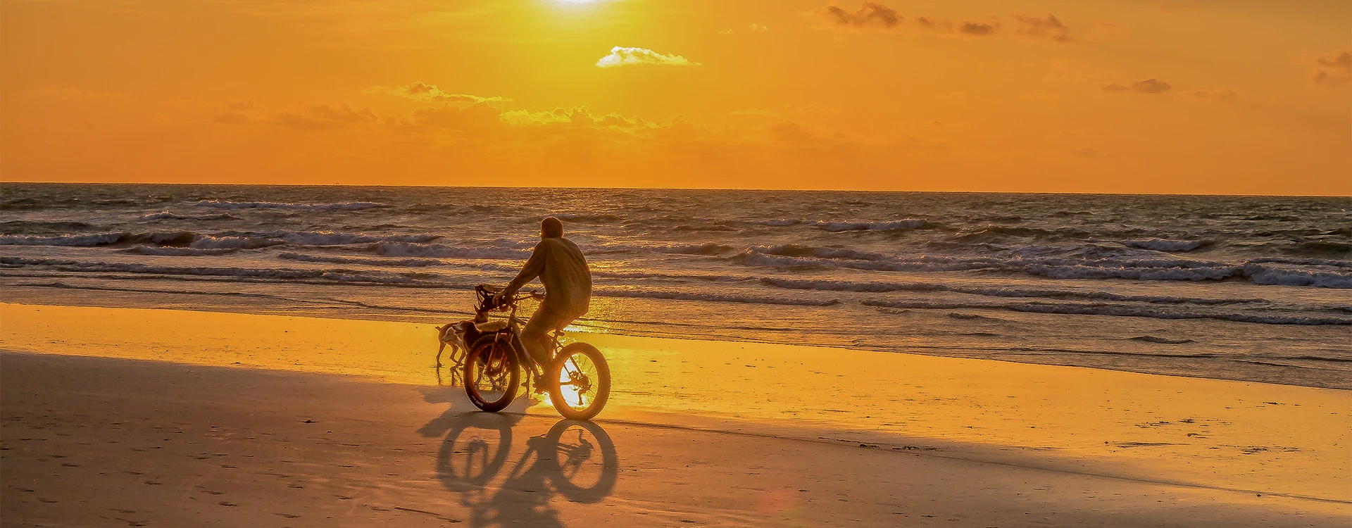 camping paradis galerie photos