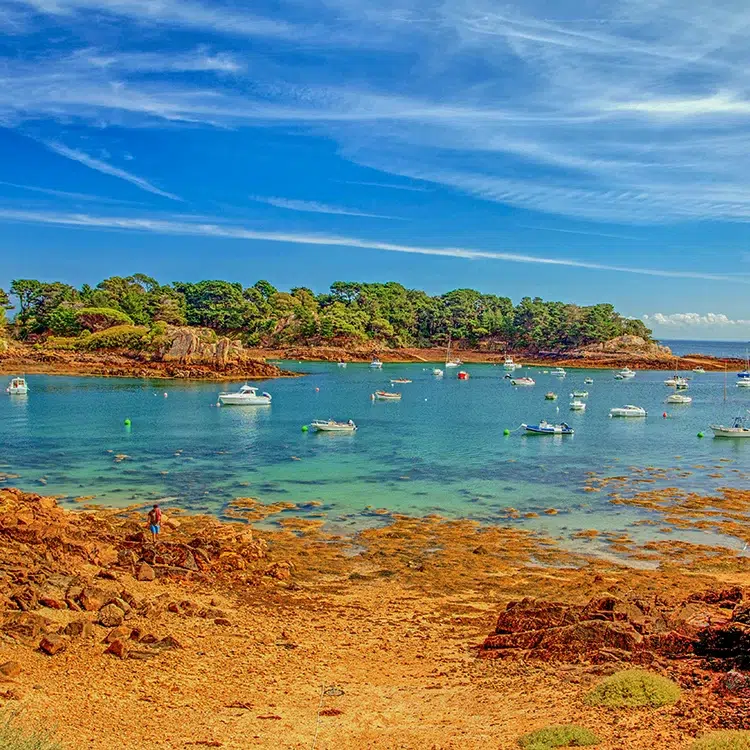 ile de brehat